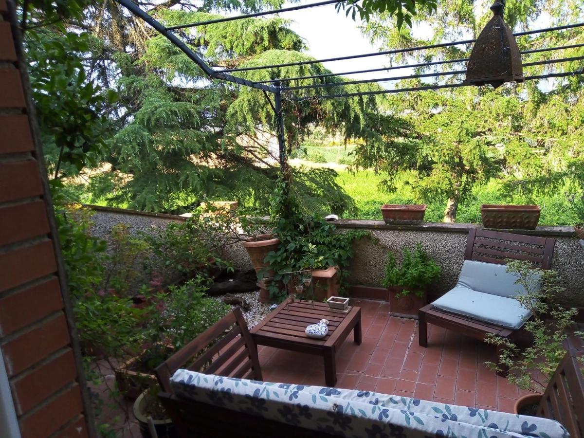 B&B La Gallinella Rossa Baschi ภายนอก รูปภาพ
