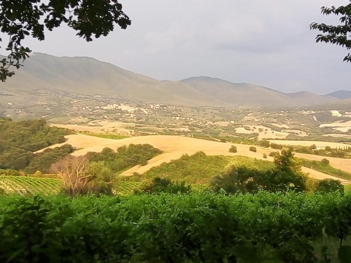 B&B La Gallinella Rossa Baschi ภายนอก รูปภาพ