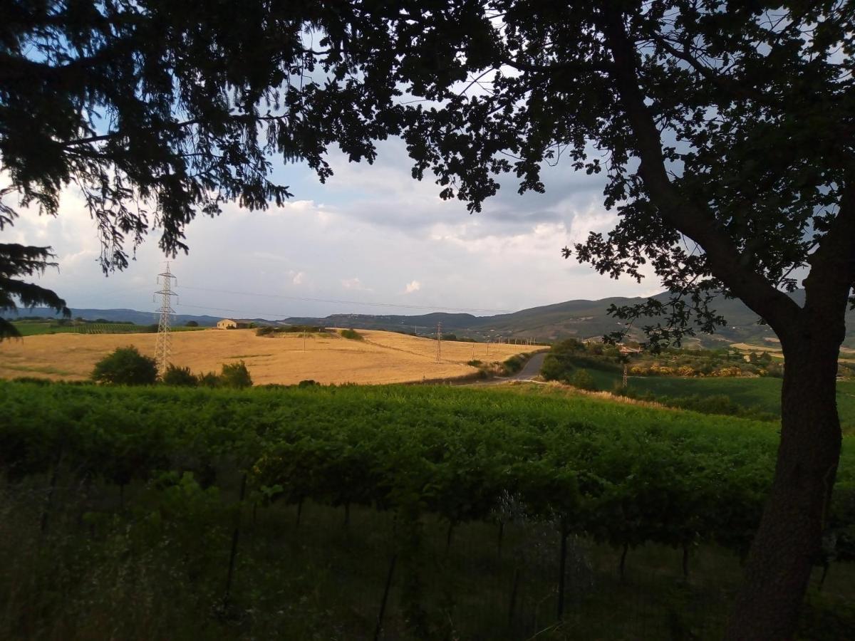 B&B La Gallinella Rossa Baschi ภายนอก รูปภาพ