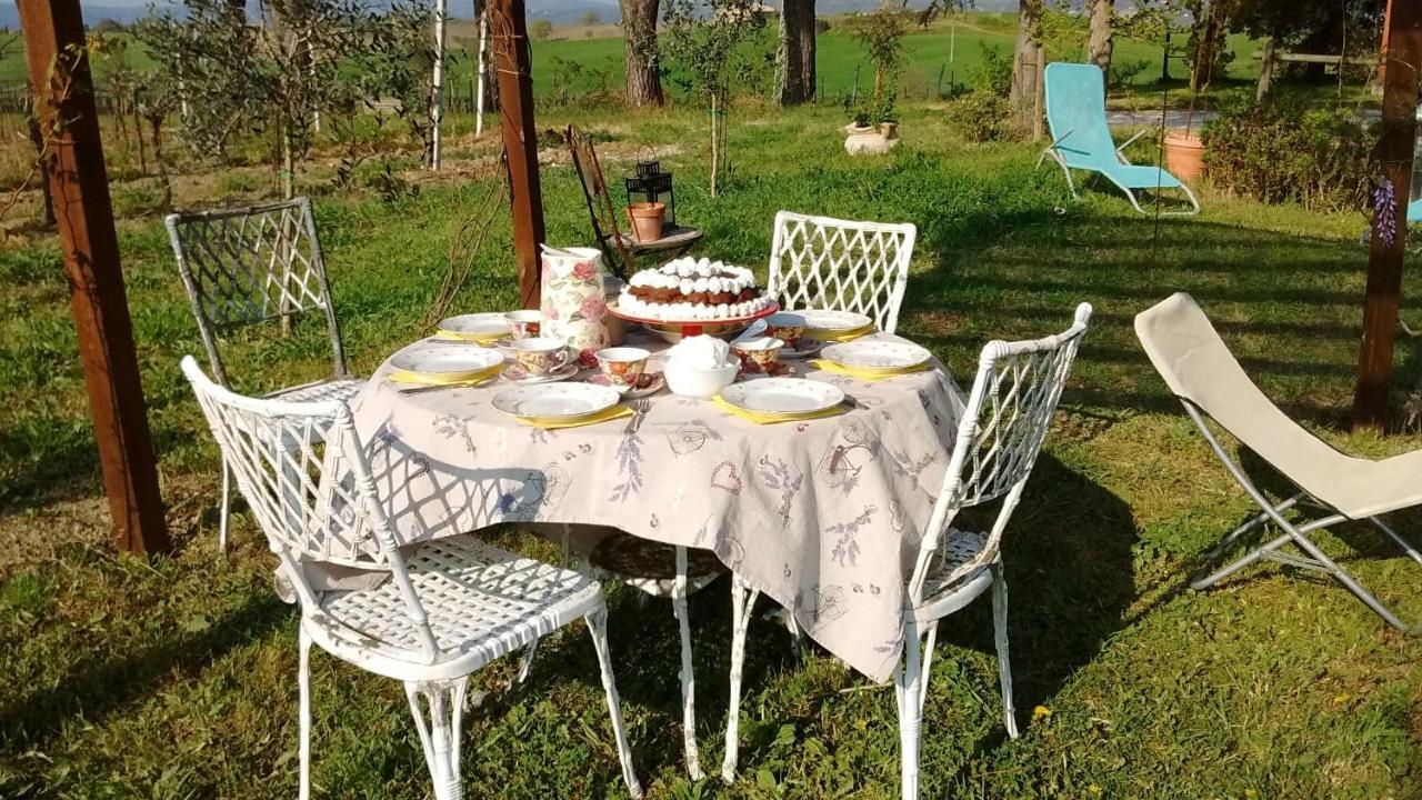B&B La Gallinella Rossa Baschi ภายนอก รูปภาพ
