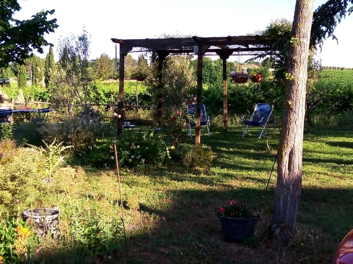 B&B La Gallinella Rossa Baschi ภายนอก รูปภาพ