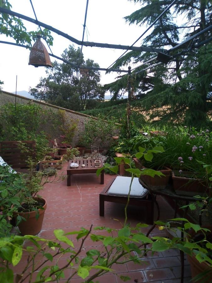 B&B La Gallinella Rossa Baschi ภายนอก รูปภาพ