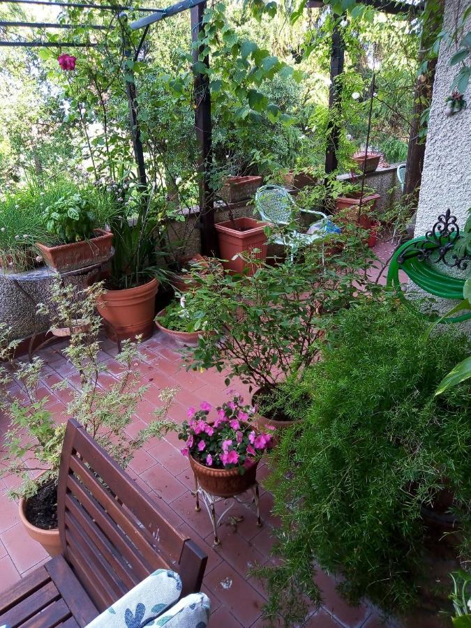 B&B La Gallinella Rossa Baschi ภายนอก รูปภาพ