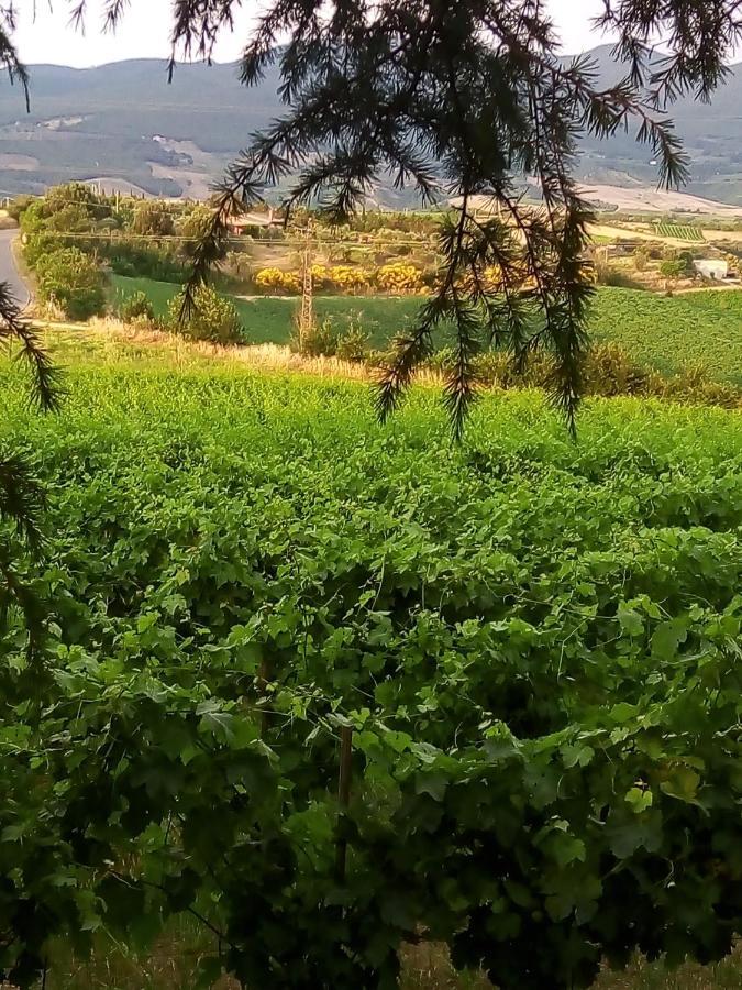B&B La Gallinella Rossa Baschi ภายนอก รูปภาพ