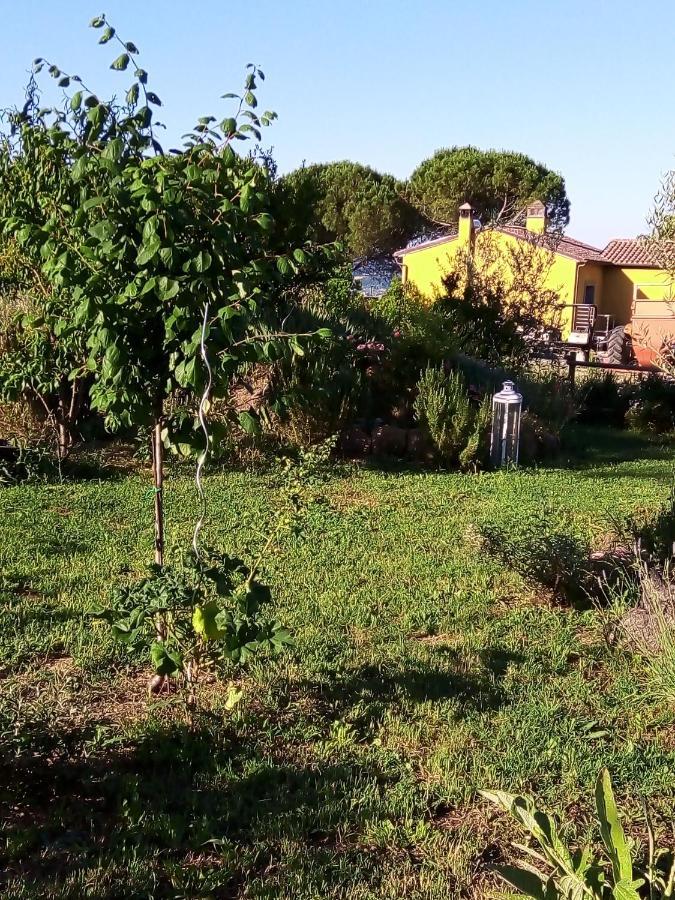 B&B La Gallinella Rossa Baschi ภายนอก รูปภาพ