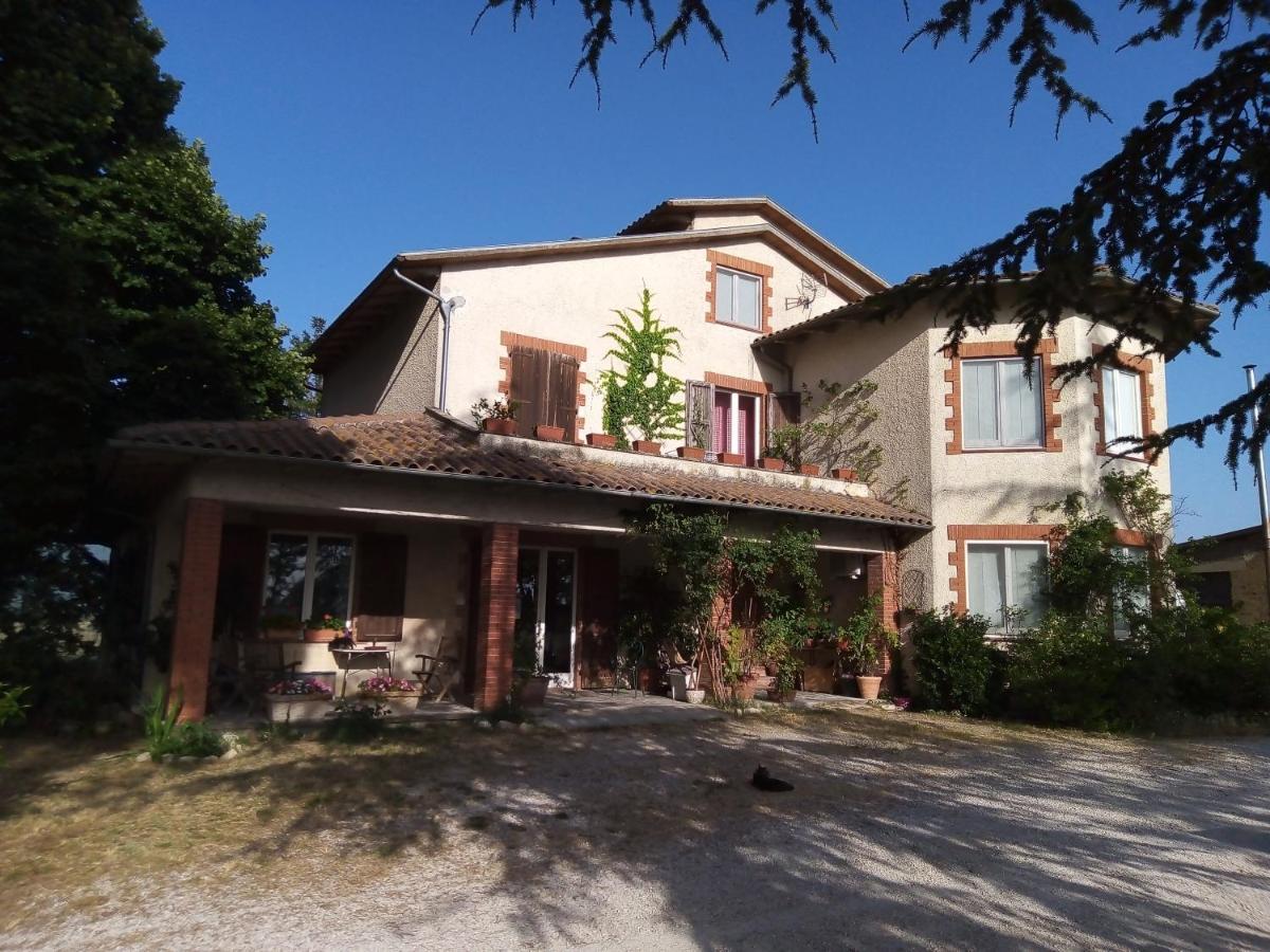 B&B La Gallinella Rossa Baschi ภายนอก รูปภาพ